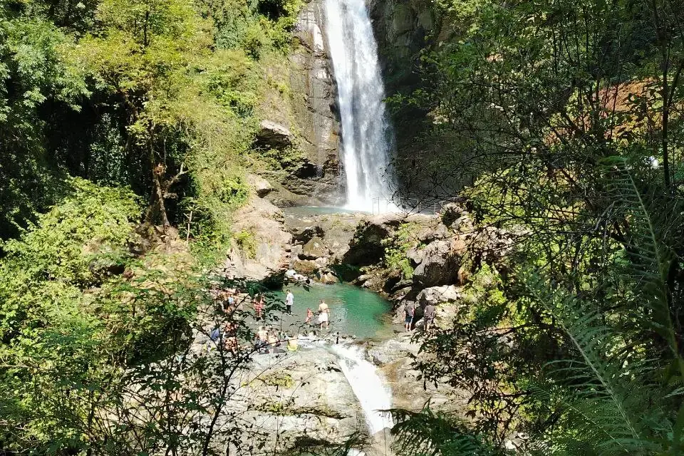 ლაგოდეხის ველური ბუნება