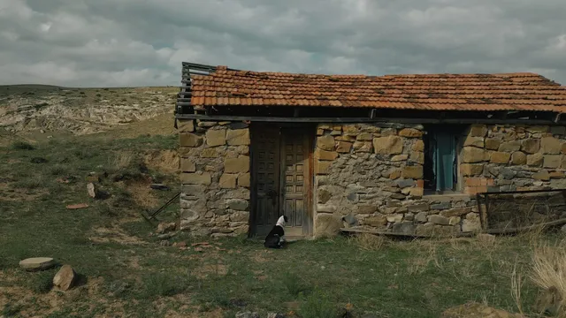 უფლისციხე