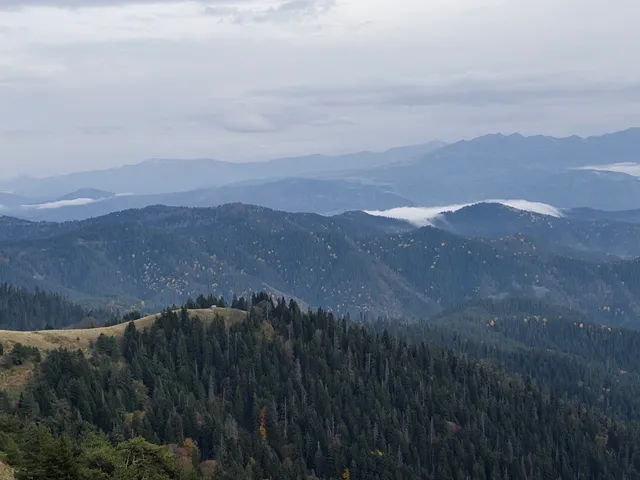 ლომისმთას მწვერვალი